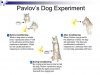 pavlov-s-dog-experiment-l